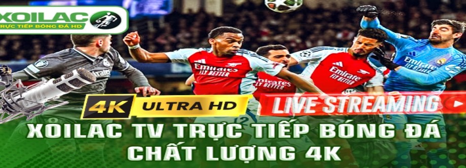 therobotbrains ai gia mao Cover Image