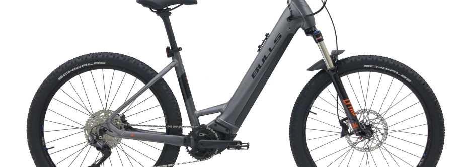 Bulls Bikes USA Cover Image