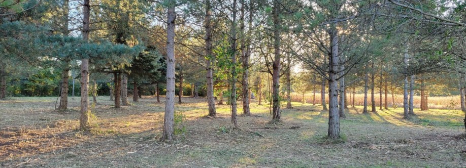 Gods Country Land Services LLC Cover Image