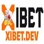 xibet dev Profile Picture