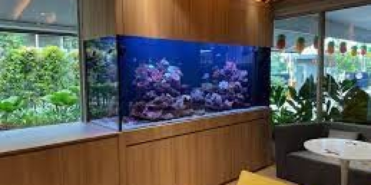 Everything To Know About Marine Fish Tanks, Personal Aquariums