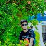 PN Raisul Profile Picture