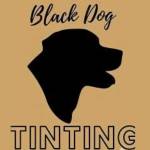 Black Dog Tinting and Paint Protection Film Profile Picture