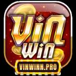 Vinwin Profile Picture