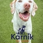 Karnik Pet Lodge at Maple Village Profile Picture
