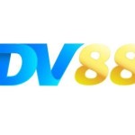 DV88 CLOUD Profile Picture