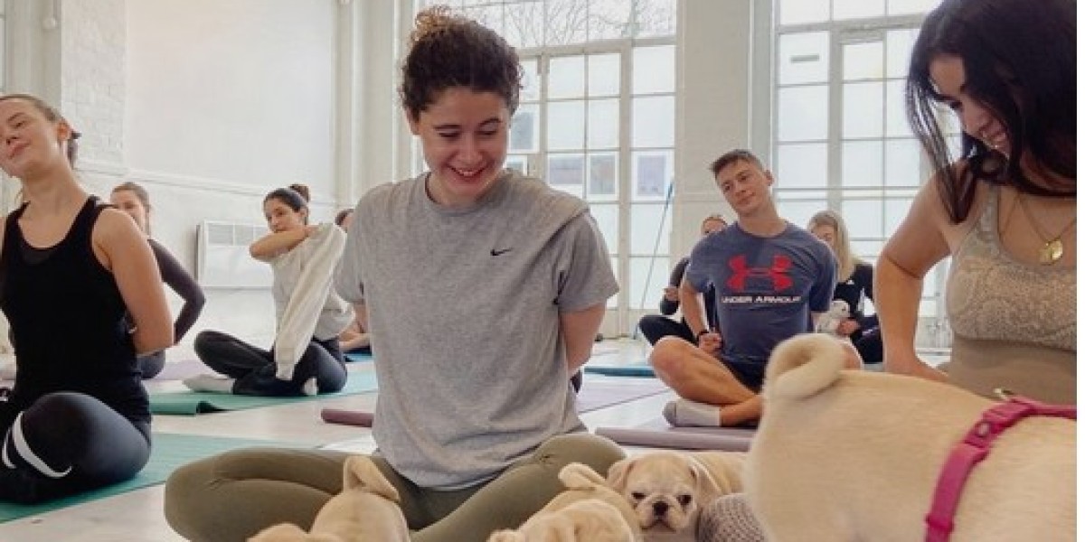Why Puppy Yoga Classes Are the Perfect Private Event for Pet Lovers