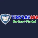 TINYCAT99 CASINO Profile Picture