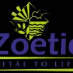 Zoetic Ayurvedics Profile Picture