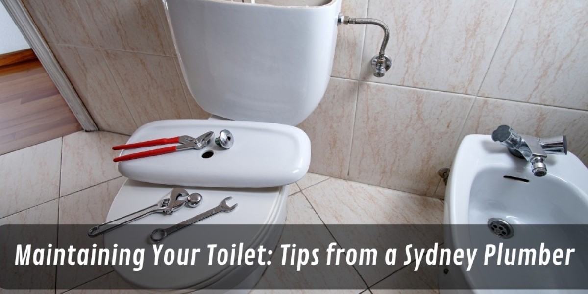 Maintaining Your Toilet: Tips from a Sydney Plumber