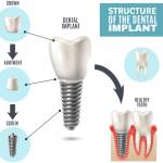 Cathrine Fadel Profile Picture