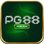 PG88 boo Profile Picture