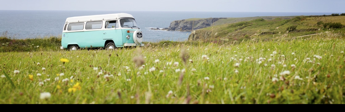 The Wild Terrain Cover Image