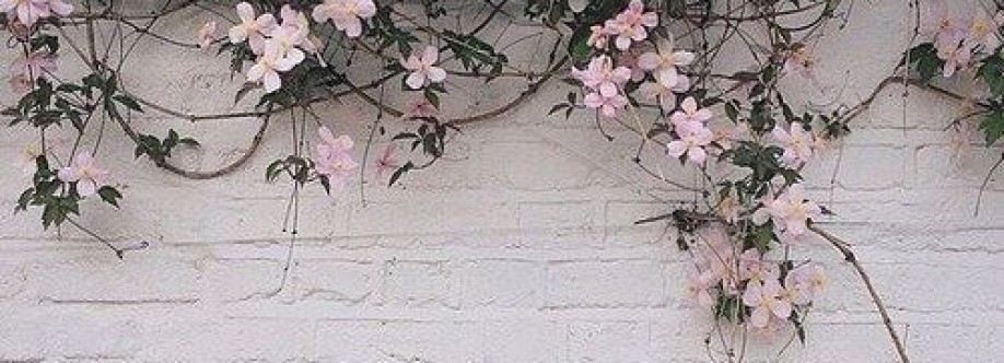 Hayley Octoman Cover Image