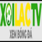 agil8 com die web Profile Picture