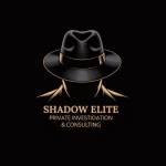 Shadow Elite Private Investigation Profile Picture