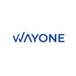 wayoneITsolutions Profile Picture