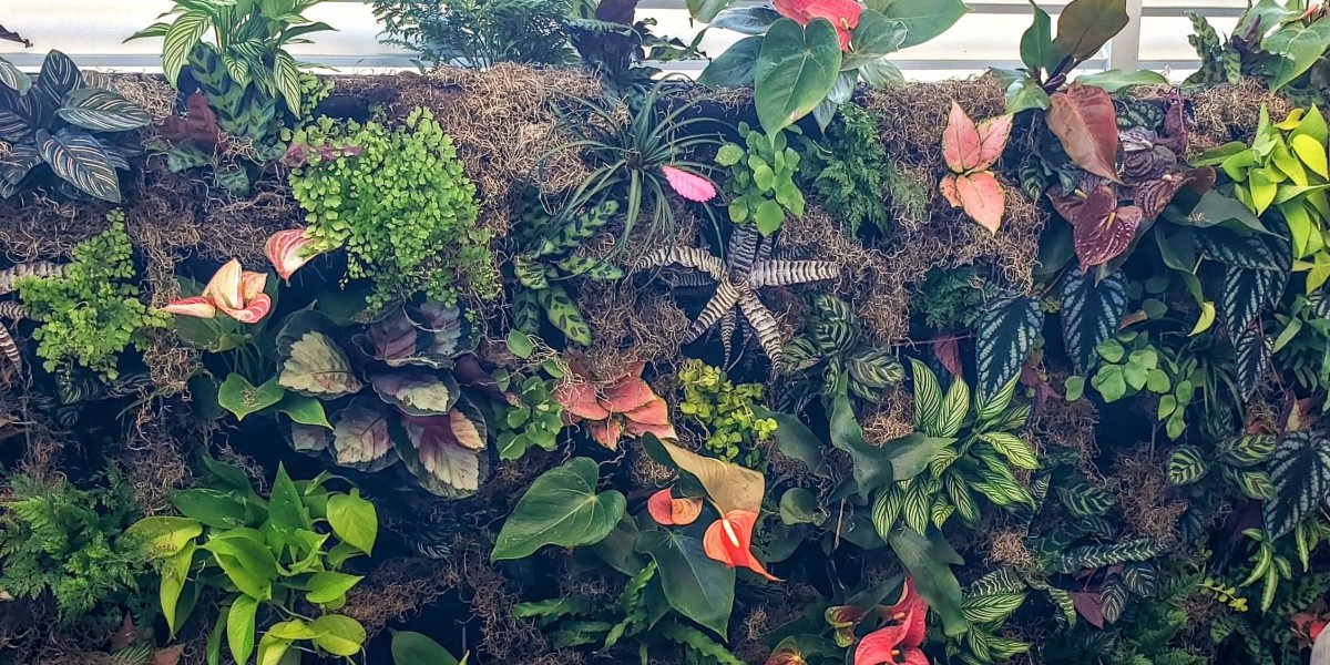 Get a Luxurious Outdoor Oasis with a Skilled Landscape Designer in Marco Island, FL