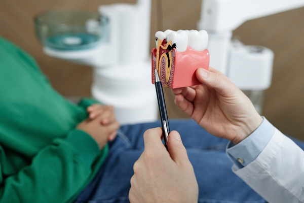 How to Prepare for Your Root Canal Therapy Appointment | Bellevue Hill Dental