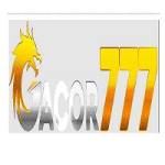 LinkGacor777 Profile Picture