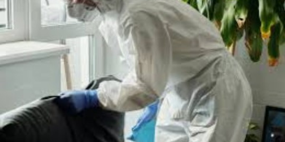 Expert Cleaning by Biohazard: Sewage, Squatter, and Nicotine Cleanup Restoring Hygiene & Order