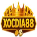 Xocdia88 ltd Profile Picture