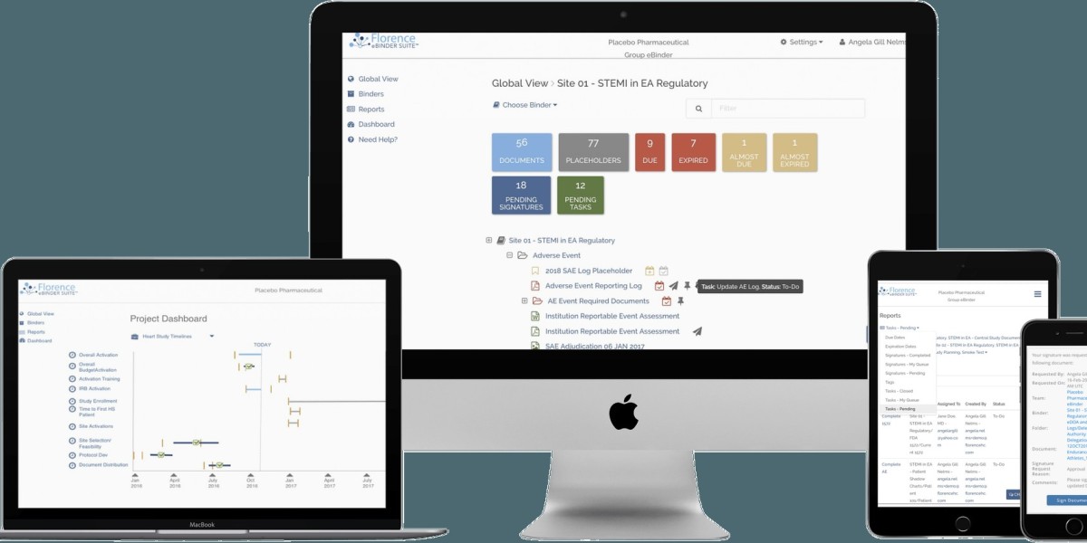 Corporate Portal Development in Dubai