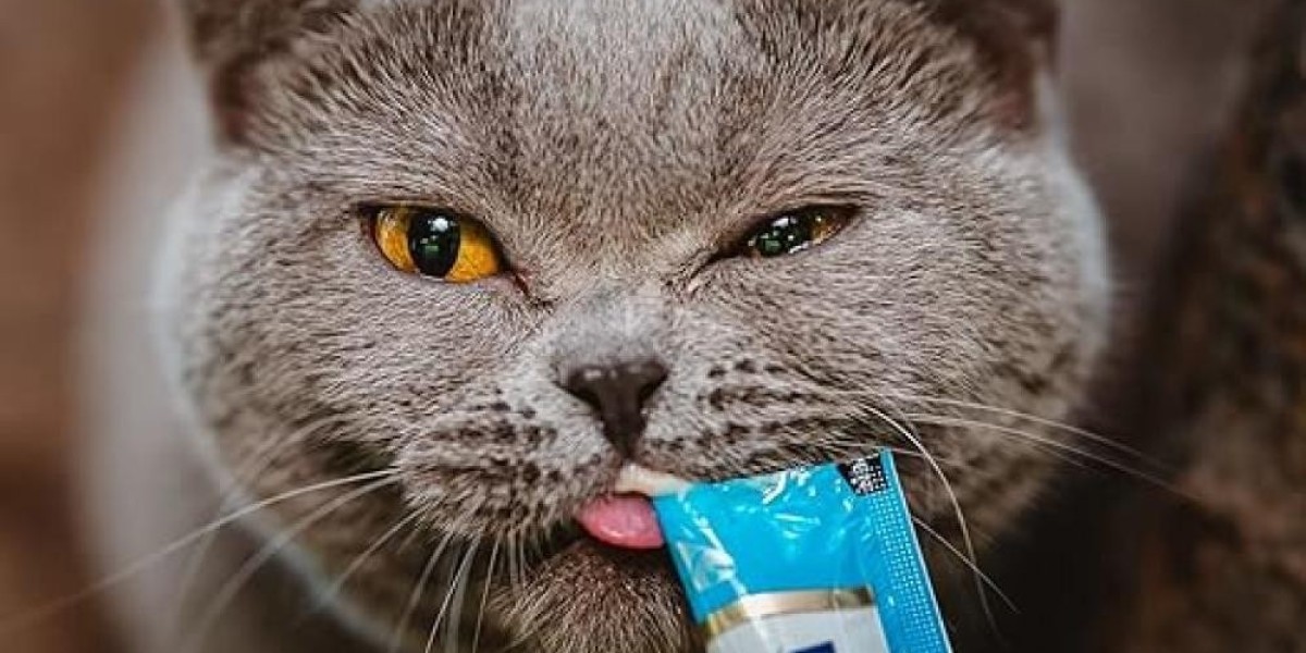 Not All Treats Are Created Equal: Discover Why Inaba Churu Is Every Cat’s Obsession