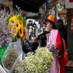 Tiệm hoa tươi hà nội Profile Picture