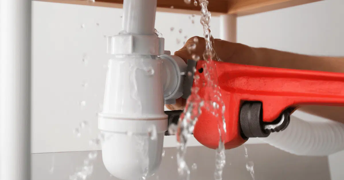 The Importance of Regular Plumbing Maintenance