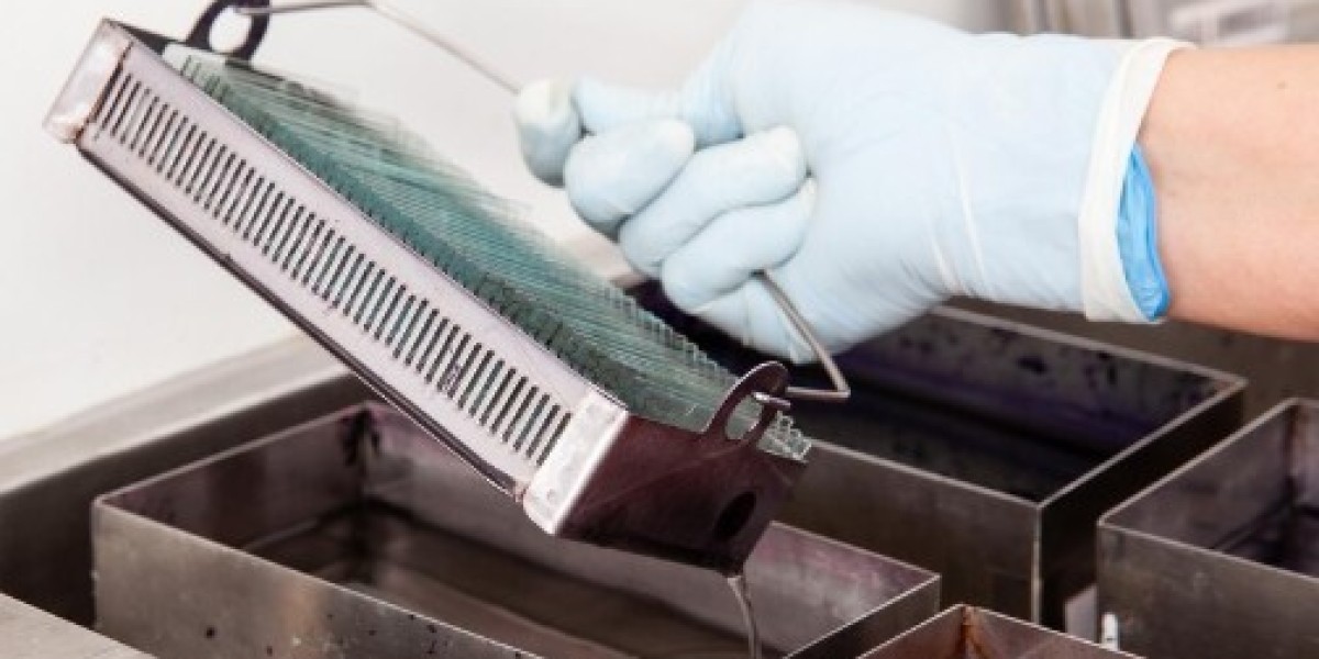 Enhancing Seed Processing Efficiency with Inline Cleaning and Seed Box Washer Technologies