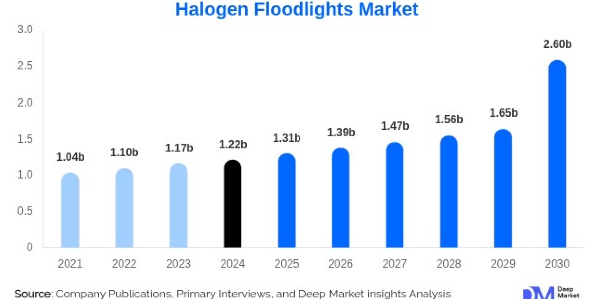 Spotlight on Halogen Floodlights: Market Trends, Leaders & Regional Growth