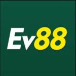 EV88 report Profile Picture