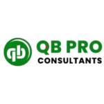 QB Pro Consultants Profile Picture