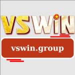 vswin group Profile Picture