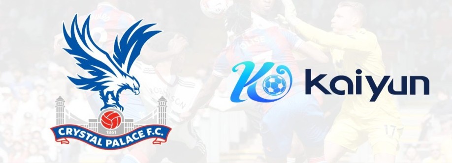 kaiyunwc com Cover Image