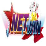 Netwin Tải Net Win Android Profile Picture