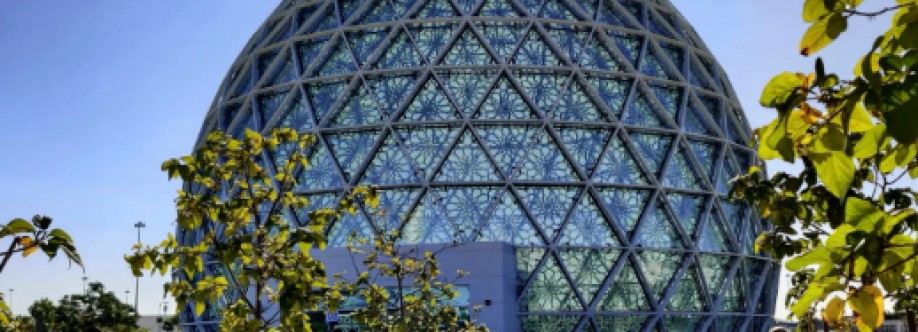 Alaya Panama Cover Image