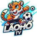 Lão Hổ TV Profile Picture