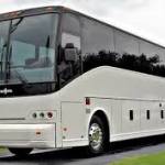 mixiliy869 Profile Picture