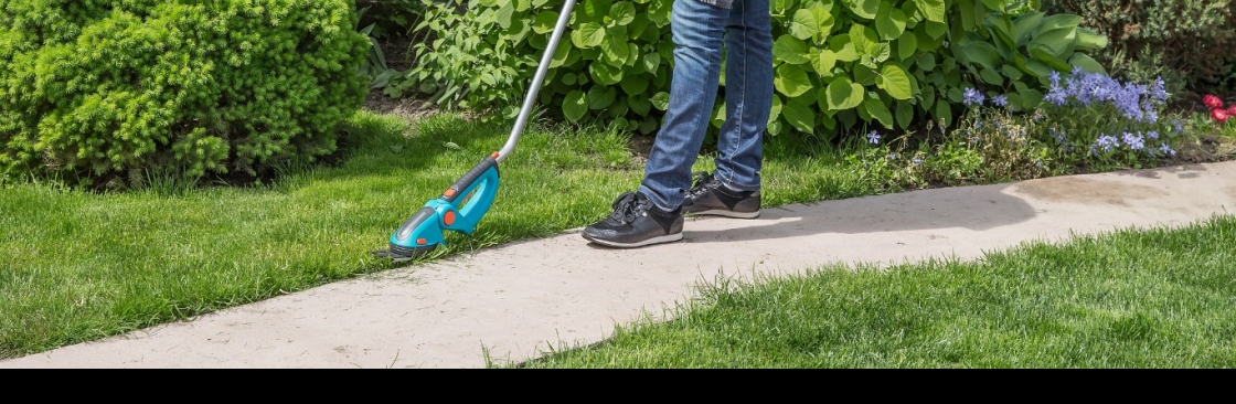 Dad Mows Best Cover Image