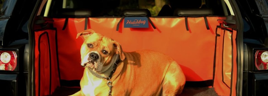 Samuel Allen Cover Image