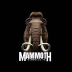 Mammoth Technologies Profile Picture