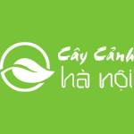 Cây Cảnh Hà Nội Profile Picture