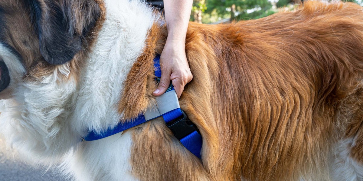 Get Secure & Comfy Harnesses for Your Dog at HugeHounds