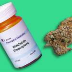 wellbutrin and marijuana Profile Picture