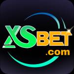 XSBET Profile Picture