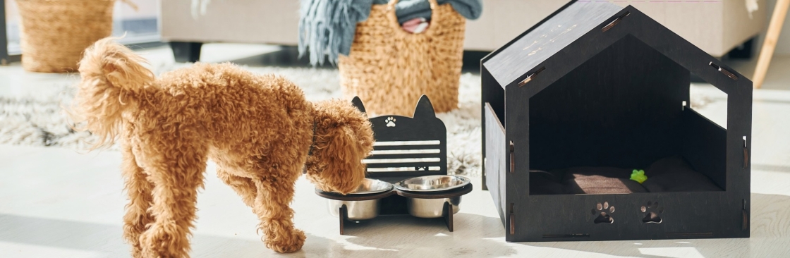 VIPBOX4 Avis Cover Image