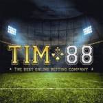 Tim88 site Profile Picture