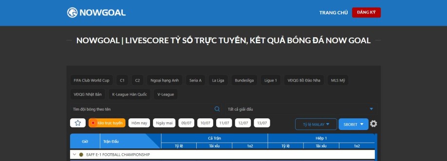 Now Goal Cover Image